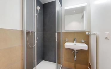 Wohnung 4.5 Zimmer - image - 11