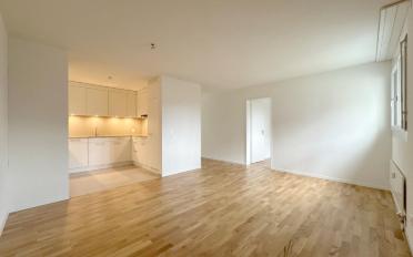 Appartement 5.5 pièces - image - 3