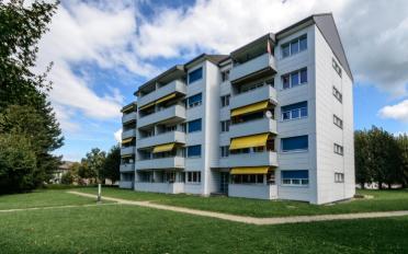 Wohnung 3.5 Zimmer - image - 2
