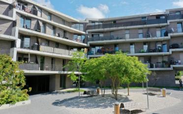 Wohnung 2 Zimmer - image - 1