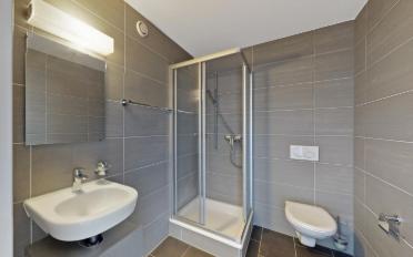 Duplex 3.5 rooms - image - 7