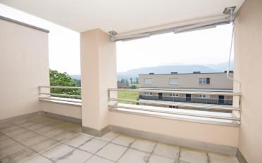 Duplex 3.5 Zimmer - image - 12