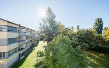 Apartment 2.5 rooms - image - 2