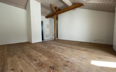 Wohnung 2.5 Zimmer - image - 3