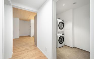 Wohnung 2.5 Zimmer - image - 4