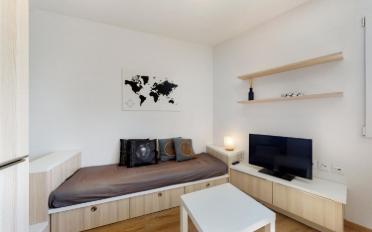 Furnished flat 1 room - image - 5