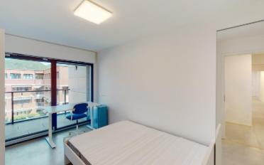 Wohnung 1.5 Zimmer - image - 5