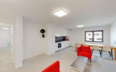 Apartment 1.5 rooms - image - 1