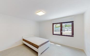 Apartment 2.5 rooms - image - 5