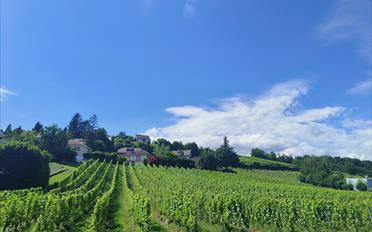 Atelier 1 pièce - image - 8
