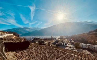 Villa 4.5 rooms - image - 13