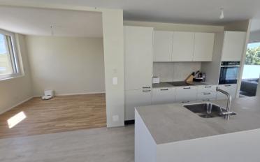 Attikawohnung 4.5 Zimmer - image - 3