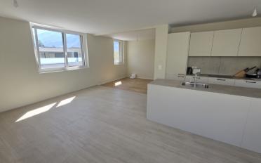 Attikawohnung 4.5 Zimmer - image - 7