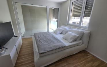 Attikawohnung 4.5 Zimmer - image - 11