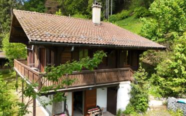 Chalet 6.5 pièces - image - 1