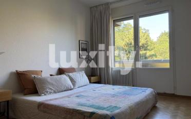Wohnung 4 Zimmer - image - 4