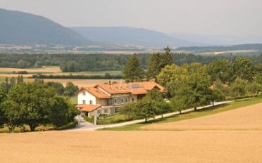 Einfamilienhaus 8.5 Zimmer - image - 13