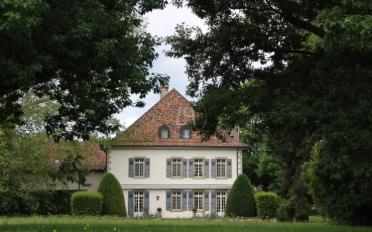 Single house 13 rooms - image - 8