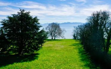 Terrain à bâtir - image - 12