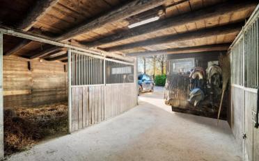 Einfamilienhaus 10 Zimmer - image - 10