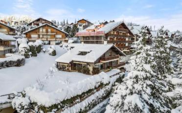 Chalet 9 Zimmer - image - 3