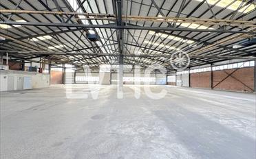 Lager - image - 2
