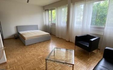 Furnished flat 2 rooms - image - 2