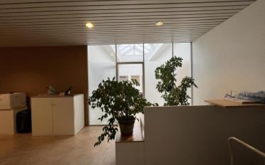 Bureau 18 pièces - image - 3