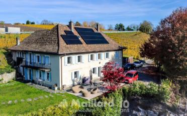 Einfamilienhaus 11 Zimmer - image - 1