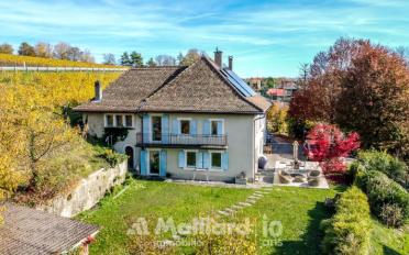 Einfamilienhaus 11 Zimmer - image - 3