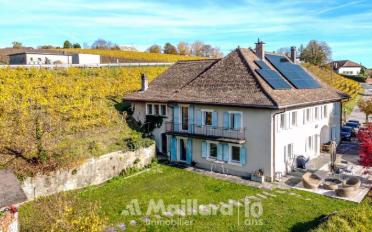 Einfamilienhaus 11 Zimmer - image - 2