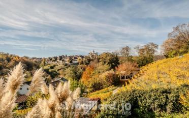 Einfamilienhaus 11 Zimmer - image - 5