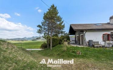 Einfamilienhaus 5.5 Zimmer - image - 2