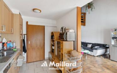 Duplex 5.5 rooms - image - 5