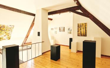 Einfamilienhaus 7.5 Zimmer - image - 4