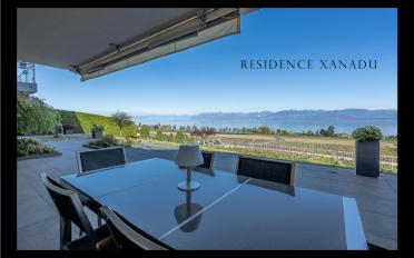 Terrace flat 3.5 rooms - image - 1