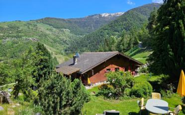 Chalet 7 pièces - image - 2