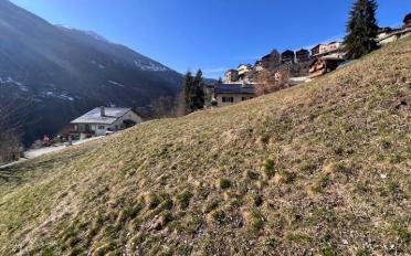 Terrain à bâtir - image - 2