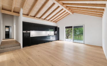 Attic flat 5.5 rooms - image - 2