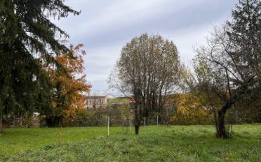 Bauland - image - 1
