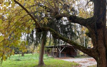 Bauland - image - 4