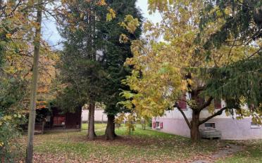 Bauland - image - 5