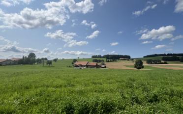 Villa 6.5 Zimmer - image - 10