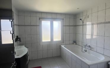 Bauland 5.5 Zimmer - image - 6