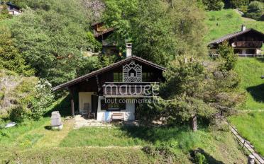 Chalet 4.5 Zimmer - image - 1
