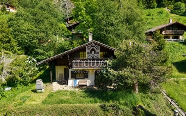 Chalet 4.5 rooms - image - 1