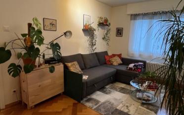 Wohnung 2 Zimmer - image - 1