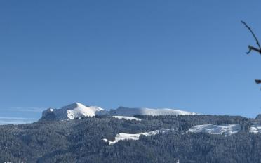 Villa 5.5 pièces - image - 8