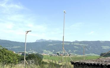 Villa 5.5 Zimmer - image - 9