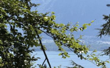 Terrain à bâtir - image - 2